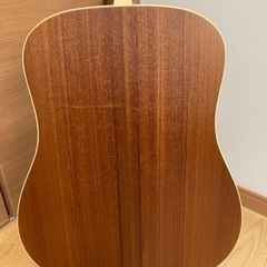 Taylor DN4 テイラー ドレッドノート