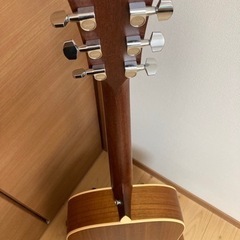 Taylor DN4 テイラー ドレッドノート