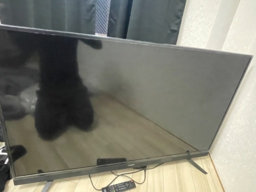 maxzen55型  ジャンク