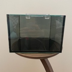 ガラス　小型水槽A