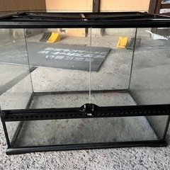 爬虫類ケージ　グラステラリウム6045