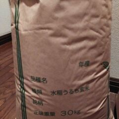 米(23年)玄米コシヒカリ１袋30kg。