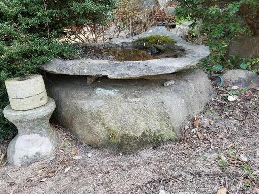 珍しい  大島石