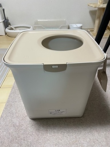 猫　トイレ
