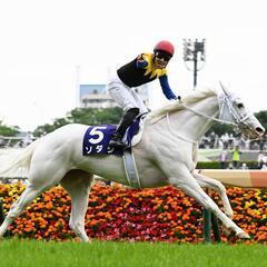 競馬好きな方いませんか？