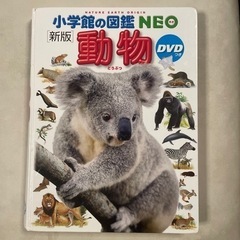 動物図鑑