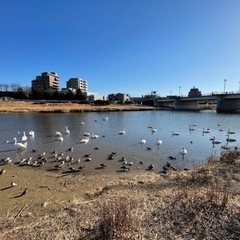 暖かくなって参りました。一緒にランニングしませんか？そろそ…