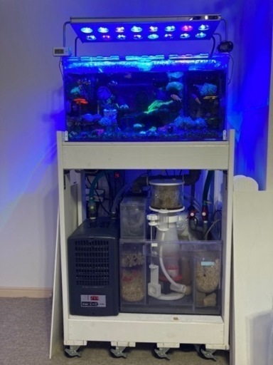 値下げ　アクリルオーバーフロー水槽フルセット