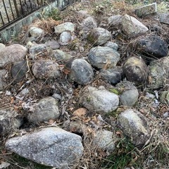 庭石 色々 約70個ぐらい　差し上げます。