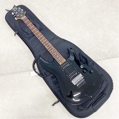 SCHECTER Diamond Series シェクター エレ...