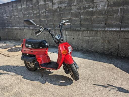 ホンダ　スカッシュ　12v セル付き