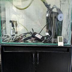 【9/7更新　お話中　水槽ほぼ全部セット】