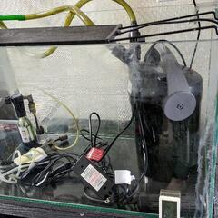 【9/7更新　お話中　水槽ほぼ全部セット】