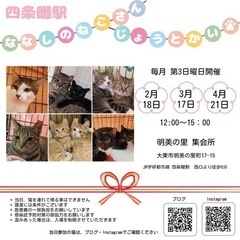 3月17日　ななしのねこさん譲渡会