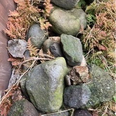 【無料】石　自然石　河原石　漬物石
