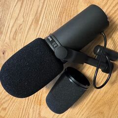 AirPods Pro （第二世代） - AirPods本体 