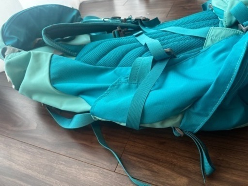 ☆1度のみ使用の美品☆レディース登山リュック 42 Women'THE NORTH