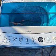 ハイアール　洗濯機　4.5キロ