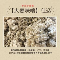 大麦味噌仕込み教室の画像