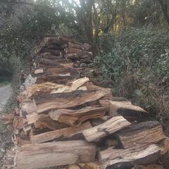 薪無くなりました‼️