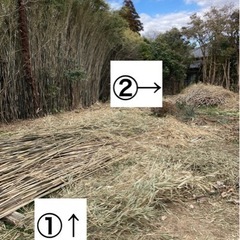 募集一時停止◆東金市◆竹を切る作業をお願いします( ᵕᴗᵕ )