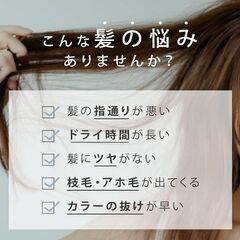 サロニア トリートメントミストドライヤー SAL21102SE カートリッジ式専用セラム付き ヘアケア 保湿 ミスト ミストケア機能 マイクロ化 美容液ミスト SALONIA