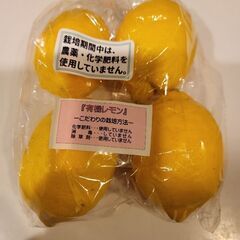 2月13日着 無農薬 日本産 大津産 レモン 皮まで 有機 食品...