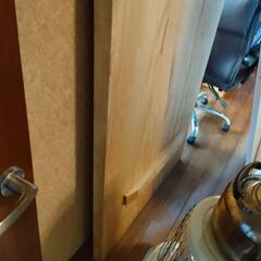 艶が良いトチのダイニングテーブル 大塚家具で買った職人の逸品