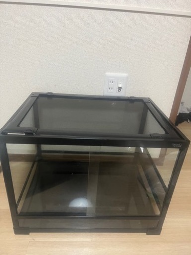 爬虫類ゲージ60センチ　リクガメ　水槽　爬虫類　ペット生体　レオパ