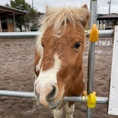 ツーリング行きたい〜(≧∇≦) - 長浜市