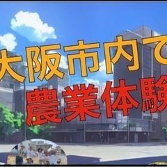 大阪市内で農業体験をしませんか？