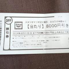 スタジオマリオ　8000円割引券