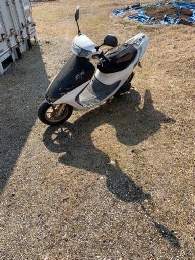 ライブディオZX ライブディオZX ライブディオzx ホンダ / HONDA ライブ