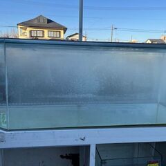中古 ガラス6角型架台付ケース