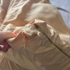 invel MiG3 掛け布団