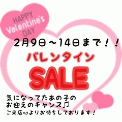 【本日2月14日までSALE価格‼️】