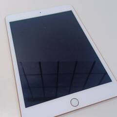 SIMロック解除済】iPad mini 第5世代 MUXE2J/A (A2124) 256GB