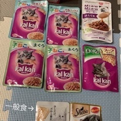 ★【同時購入無料】キャットフード ＋α (ウェット)