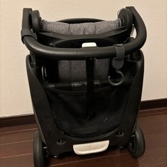 バガブーアント 対面可能、機内持ち込み可能