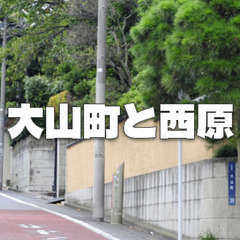 大豪邸に住む高級住宅地、渋谷区大山町や渋谷区西原を歩きます♪の画像