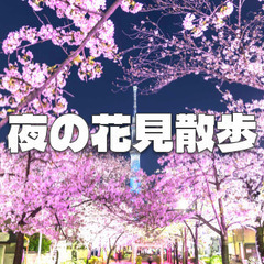 仕事帰りに花見散歩！のんびり歩きながら夜桜と交流を楽しみましょう...