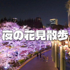 仕事帰りに花見散歩！のんびり歩きながら夜桜と交流を楽しみましょう😊簡単な歴史解説付きです♪の画像