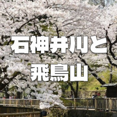桜並木で有名な石神井川と音無親水公園と飛鳥山公園を散策します♪
