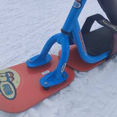 INSANE TOYS Kid SNOWSCOOT インセントイズ キッド スノースクート 子供用 COMPACT コンパクト