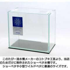 高級ベタ専用水槽 コトブキ工芸 中古品