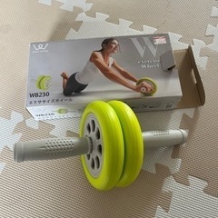 exercise wheel wb230