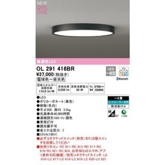 【新品】オーデリック　照明　OL291416BR
