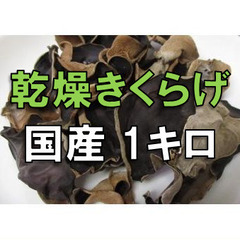 国産乾燥きくらげ 鳥取県産 1000g 1㎏ 木耳 乾燥・国産キクラゲ