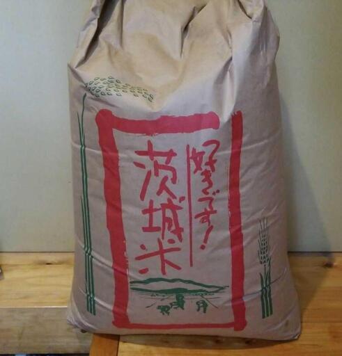 令和5年度　コシヒカリ玄米30Kg