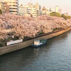 ■3/23(土)14:30～大阪お花見【70名】天満橋リバーサイ...